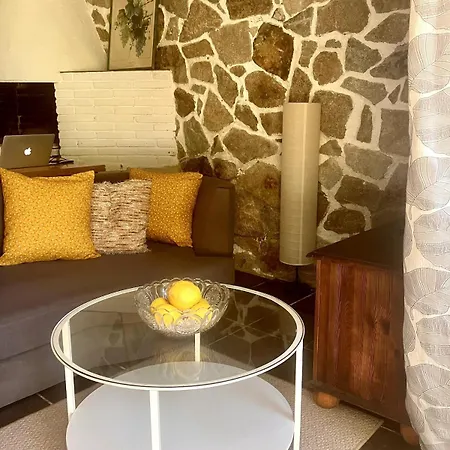 Estudio Limonero En Apartment Sant Cebria de Vallalta