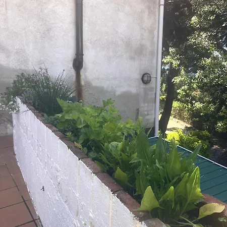 Apartment Estudio Limonero En Sant Cebria de Vallalta