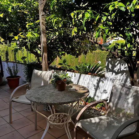 Estudio Limonero En 20' Playa Daire Sant Cebrià de Vallalta